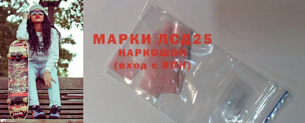 прущие грибы Белокуриха