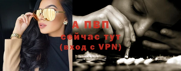 ECSTASY Беломорск