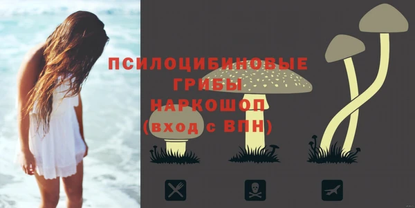 прущие грибы Белокуриха