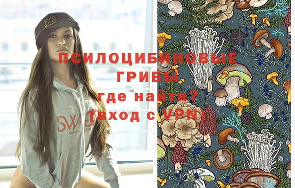 прущие грибы Белокуриха