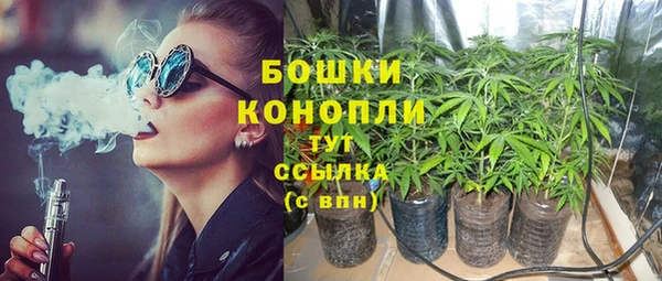 прущие грибы Белокуриха