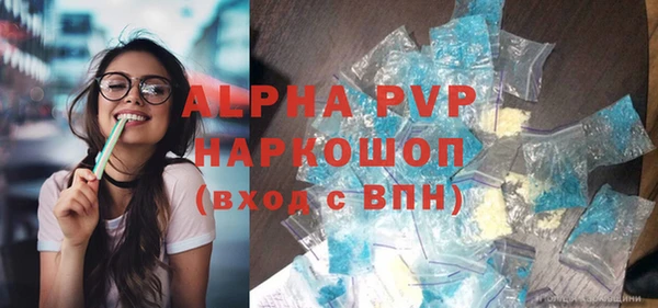 прущие грибы Белокуриха