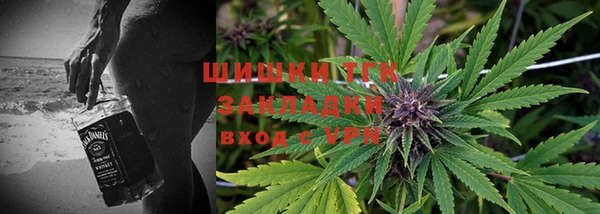 прущие грибы Белокуриха