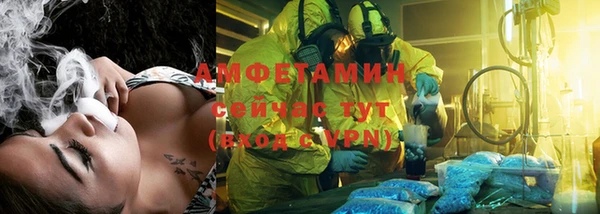 прущие грибы Белокуриха