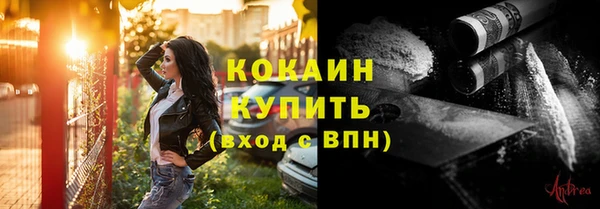 прущие грибы Белокуриха